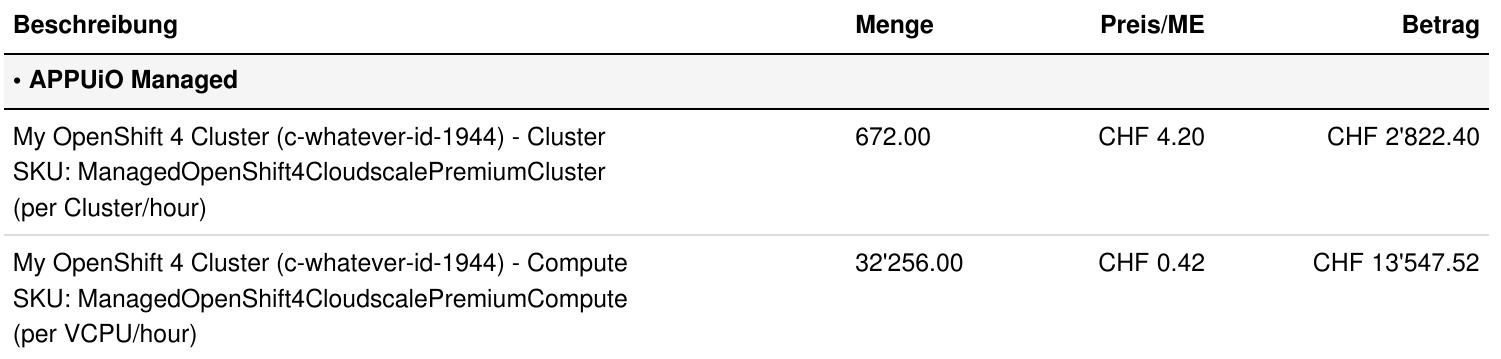 appuio managed invoice example